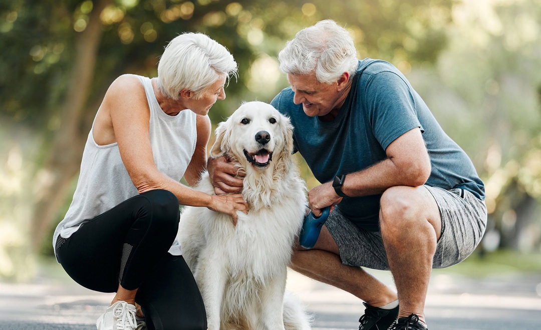 a room with tables and chairs
